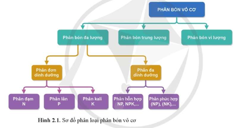 Chuyên đề Hóa học 11 (Cánh diều) Bài 2: Phân bón vô cơ (ảnh 1)