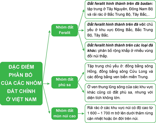 Địa lí 8 (Chân trời sáng tạo) Bài 11: Đặc điểm chung và sự phân bố của lớp phủ thổ nhưỡng (ảnh 2)