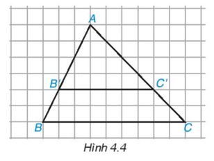 Toán 8 Bài 15 (Kết nối tri thức): Định lí Thalès trong tam giác (ảnh 4)