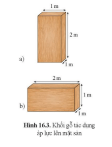 KHTN 8 (Cánh Diều) Bài 16: Áp suất | Khoa học tự nhiên 8 (ảnh 4)