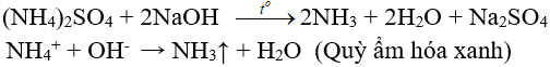 FeSO4 + (NH4)2CO3 → (NH4)2SO4 + FeCO3↓ | FeSO4 ra FeCO3 (ảnh 1)