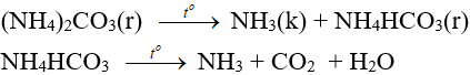 FeSO4 + (NH4)2CO3 → (NH4)2SO4 + FeCO3↓ | FeSO4 ra FeCO3 (ảnh 2)