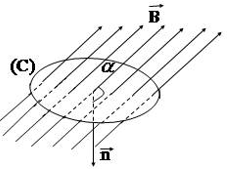 Từ thông. Cảm ứng điện từ (Lý thuyết + 25 bài tập có lời giải) (ảnh 3)