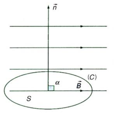 Từ thông. Cảm ứng điện từ (Lý thuyết + 25 bài tập có lời giải) (ảnh 5)