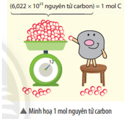 KHTN 8 (Chân trời sáng tạo) Bài 5: Mol và tỉ khối của chất khí | Khoa học tự nhiên 8 (ảnh 1)