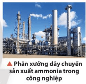 Hoá học 11 (Chân trời sáng tạo) Bài 1: Khái niệm về cân bằng hoá học (ảnh 1)