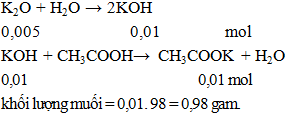 K2O + 2CH3COOH → 2CH3COOK + H2O | K2O ra CH3COOK (ảnh 1)