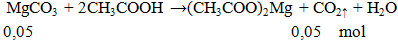 MgCO3 + CH3COOH → (CH3COO)2Mg + CO2 ↑ + H2O | MgCO3 ra (CH3COO)2Mg (ảnh 1)