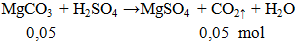 MgCO3 + H2SO4 → MgSO4 + CO2 ↑ + H2O | MgCO3 ra MgSO4 (ảnh 1)