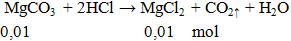 MgCO3 + HCl → MgCl2 + CO2 ↑ + H2O | MgCO3 ra MgCl2 (ảnh 2)