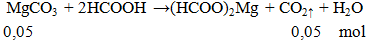 MgCO3 + HCOOH → (HCOO)2Mg + CO2 ↑ + H2O | MgCO3 ra (HCOO)2Mg  (ảnh 1)