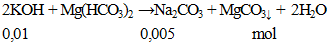 NaOH + Mg(HCO3)2 → Na2CO3 + MgCO3↓ + H2O | NaOH ra Na2CO3 (ảnh 1)