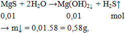 MgS + H2O → Mg(OH)2↓ + H2S↑ | MgS ra Mg(OH)2 (ảnh 1)