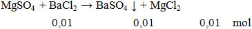 MgSO4 + BaCl2 → BaSO4 ↓ + MgCl2 | MgSO4 ra BaSO4 (ảnh 1)