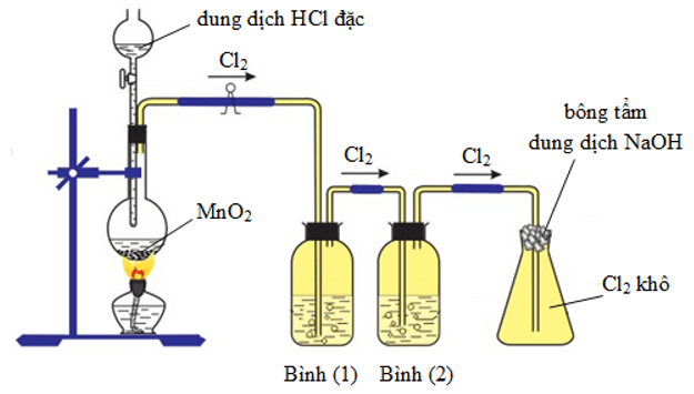 MnO2 + HCl đặc → MnCl2 + Cl2 + H2O | MnO2 ra MnCl2 (ảnh 2)