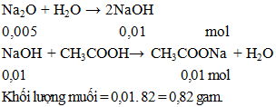 Na2O + 2CH3COOH → 2CH3COONa + H2O | Na2O ra CH3COONa (ảnh 1)