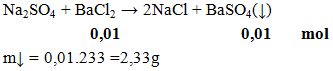 Na2SO4 + BaCl2 → 2NaCl + BaSO4(↓) | Na2SO4 ra NaCl (ảnh 1)