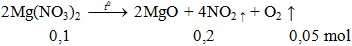 2Mg(NO3)2 -to→ 2MgO + 4NO2 ↑ + O2 ↑ | Mg(NO3)2 ra MgO (ảnh 1)