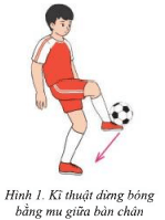 Em hãy vận dụng kĩ thuật dừng bóng bằng mu giữa bàn chân vào các trò chơi giải trí, rèn luyện nâng cao khả năng chơi bóng và phát triển thể lực. (ảnh 1)