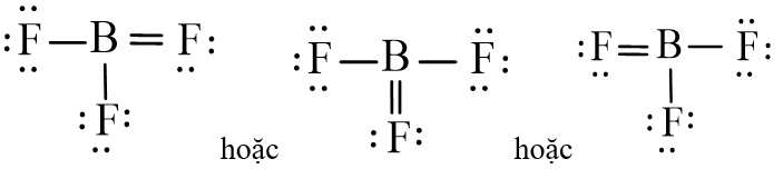 Công thức Lewis của BF3 (Bo trifluoride) chương trình mới (ảnh 1)