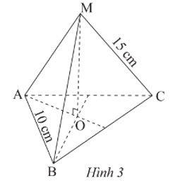 Toán 8 Bài 1 (Chân trời sáng tạo): Hình chóp tam giác đều – Hình chóp tứ giác đều (ảnh 3)
