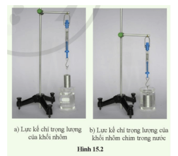 KHTN 8 (Cánh Diều) Bài 15: Tác dụng của chất lỏng lên vật nhúng trong nó | Khoa học tự nhiên 8 (ảnh 2)