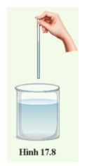 KHTN 8 (Cánh Diều) Bài 17: Áp suất trong chất lỏng và trong chất khí | Khoa học tự nhiên 8 (ảnh 3)