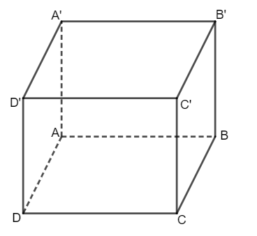 Toán 11 (Chân trời sáng tạo) Bài 1: Điểm, đường thẳng và mặt phẳng trong không gian (ảnh 5)