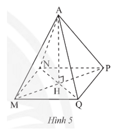 Toán 8 Bài 1 (Chân trời sáng tạo): Hình chóp tam giác đều – Hình chóp tứ giác đều (ảnh 4)