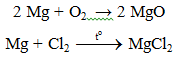 Mg + 2FeCl3 → MgCl2 + 2FeCl2 | Mg ra MgCl2 (ảnh 1)