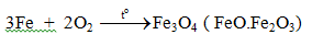 Fe(NO3)3 + Fe → Fe(NO3)2 | Fe(NO3)3 ra Fe(NO3)2 (ảnh 2)