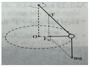 10 câu trắc nghiệm Động lực học của chuyển động tròn. Lực hướng tâm (Chân trời sáng tạo) có đáp án - Vật Lí 10 (ảnh 1)