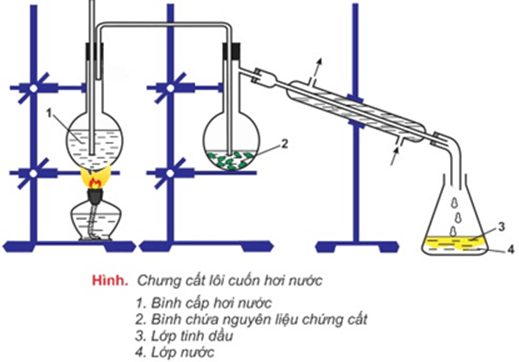 Chuyên đề Hóa học 11 (Cánh diều) Bài 4: Tách tinh dầu từ các nguồn thảo mộc tự nhiên (ảnh 1)