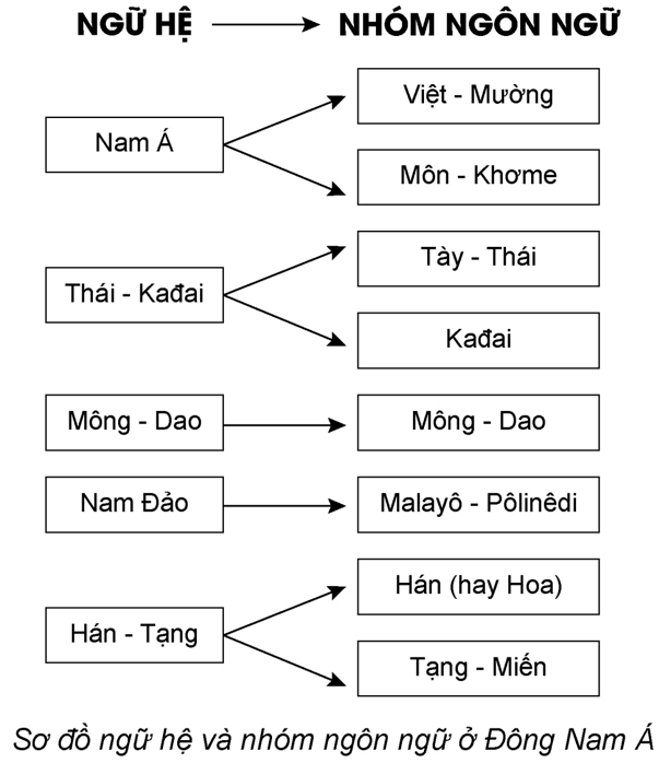 Lập sơ đồ về các ngữ hệ và nhóm ngôn ngữ Việt Nam. Kể tên một số dân tộc thuộc từng nhóm ngôn ngữ đó. (ảnh 1)