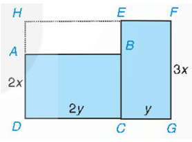  (ảnh 1)