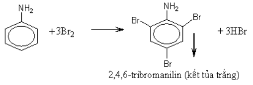  (ảnh 2)