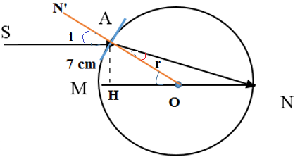  (ảnh 3)