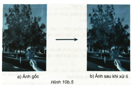 SBT Tin học 8 (Kết nối tri thức) Bài 10b: Thêm văn bản, tạo hiệu ứng cho ảnh (ảnh 8)