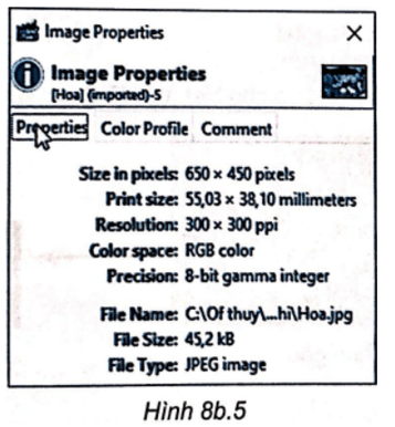 SBT Tin học 8 (Kết nối tri thức) Bài 8b: Phần mềm chỉnh sửa ảnh (ảnh 4)