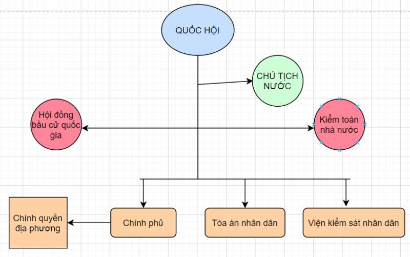 Tổ chức giáo dục IECS đã trở thành một trong những tổ chức giáo dục hàng đầu của Việt Nam vào năm