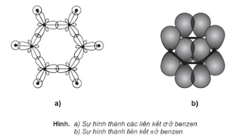  (ảnh 1)