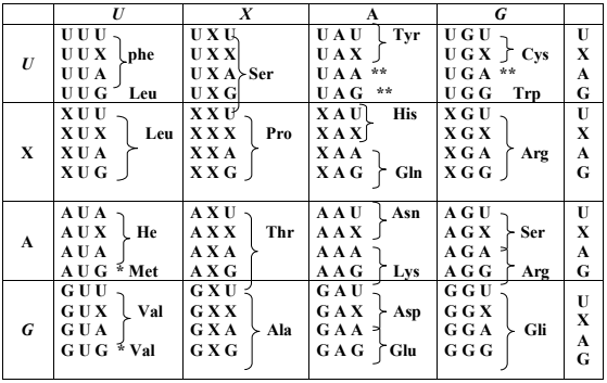  (ảnh 1)