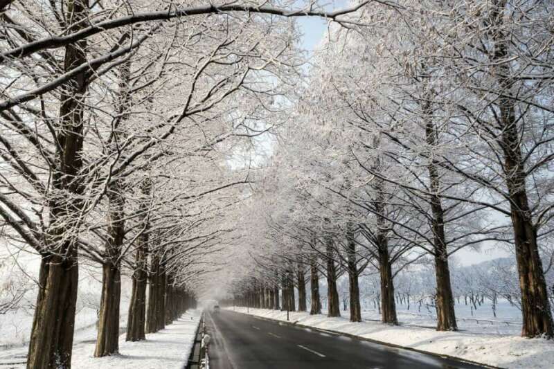 20 mẫu Đoạn văn về hình ảnh mang ý nghĩa tượng trưng đặc sắc nhất trong Con đường mùa đông (ảnh 2)