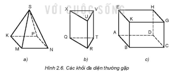  (ảnh 5)