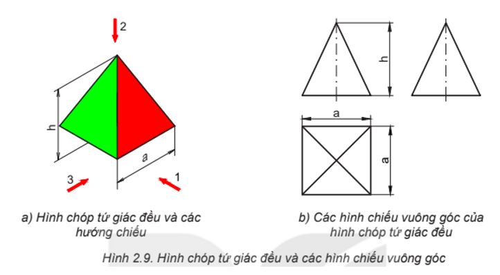  (ảnh 8)