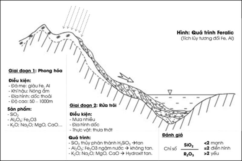 15 câu trắc nghiệm Địa lí 8 (Cánh diều) Bài  (ảnh 1)