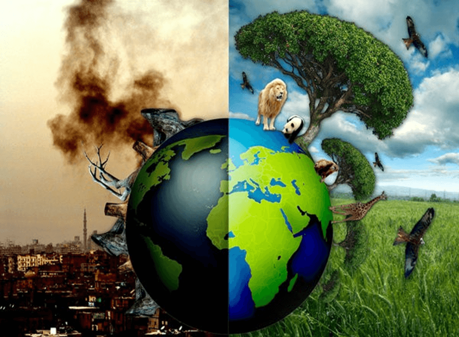 20 mẫu Thảo luận ý kiến về tình trạng ô nhiễm môi trường lớp 8 HAY NHẤT (ảnh 2)