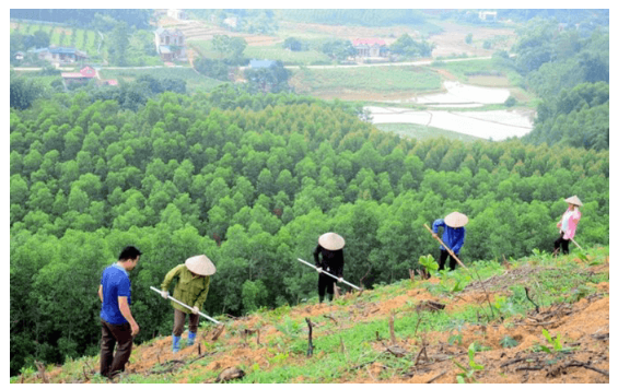 Để bảo vệ môi trường, các quốc gia cần phải làm gì? (ảnh 5)