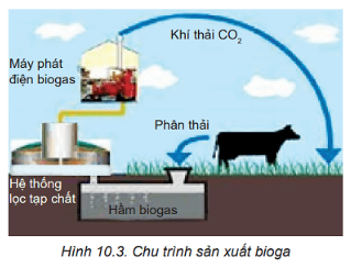 Năng lượng tái tạo và một số công nghệ thu năng lượng tái tạo (ảnh 1)