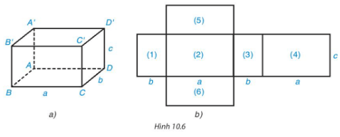 Quan sát hình hộp chữ nhật (H.10.6a) và hình triển khai của nó